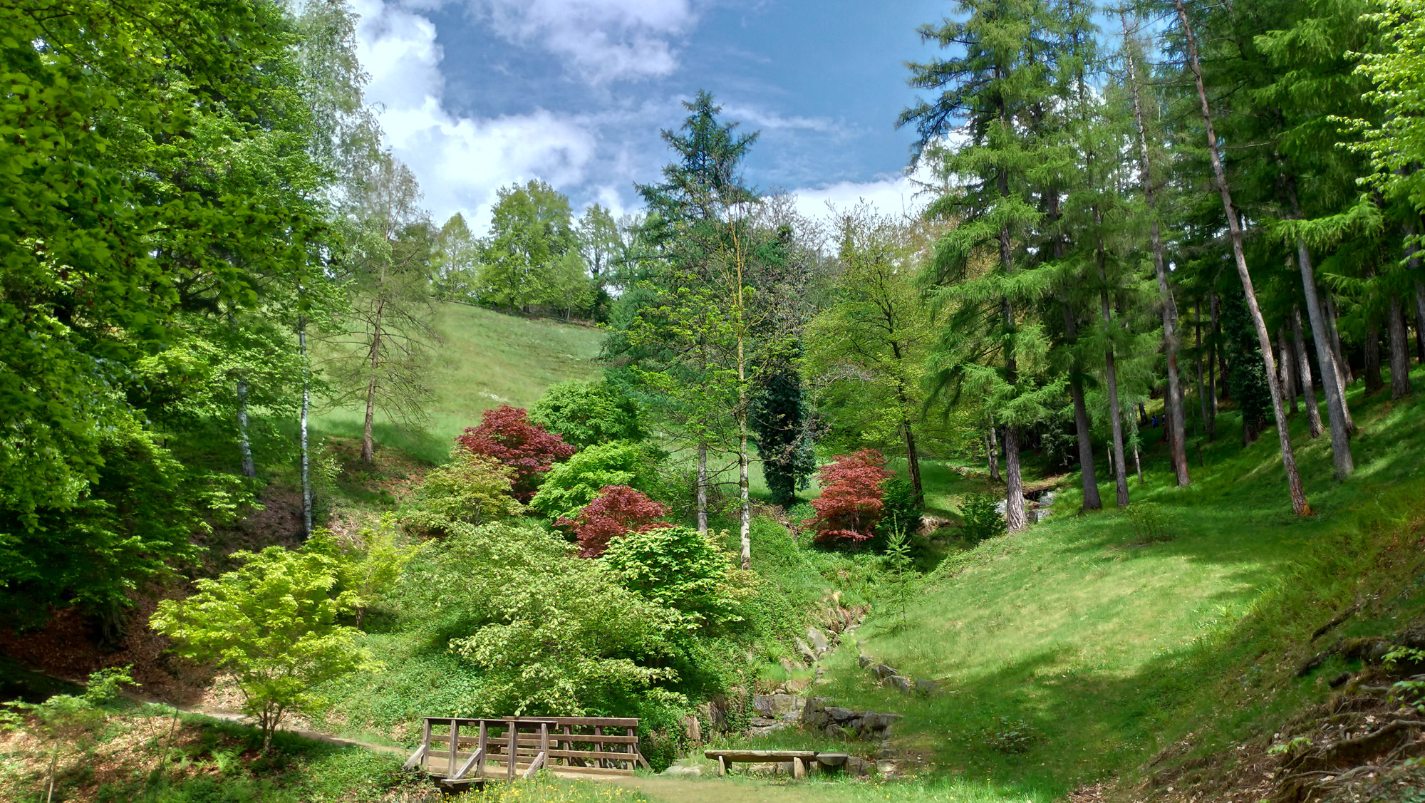 parco burcina.jpg